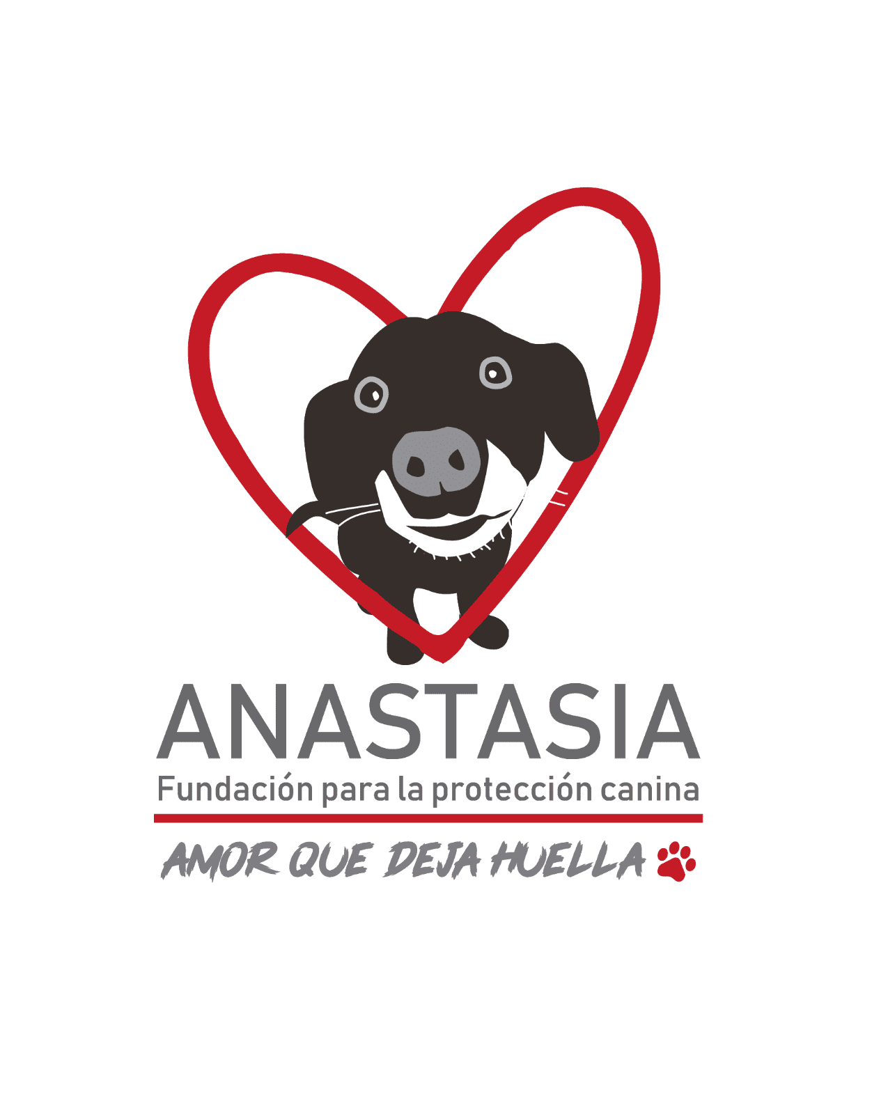 Fundación Anastasia